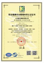 職業健康安全管理體系認證證書 24年度